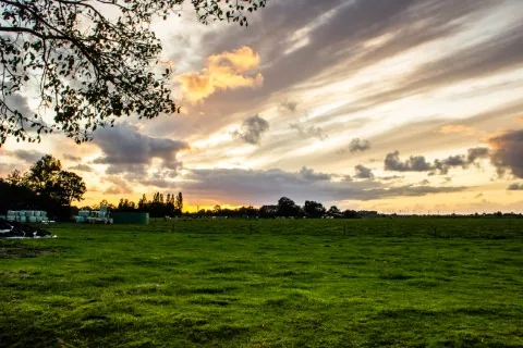 Natur in Butjadingen